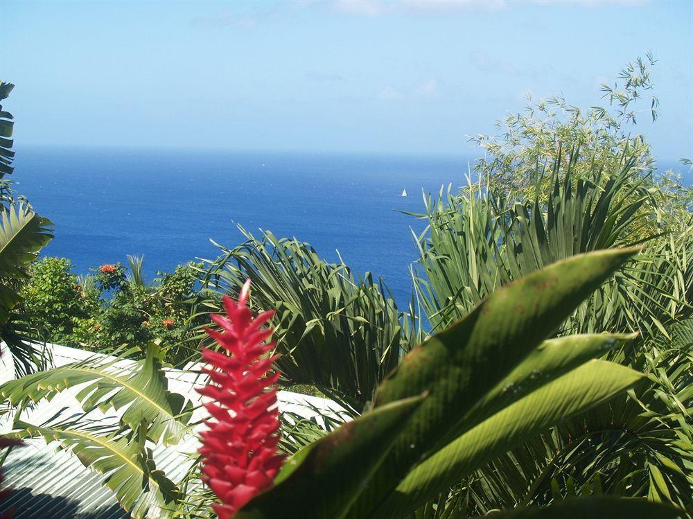 Nature'S Paradise Bed and Breakfast Bahía Marigot Exterior foto