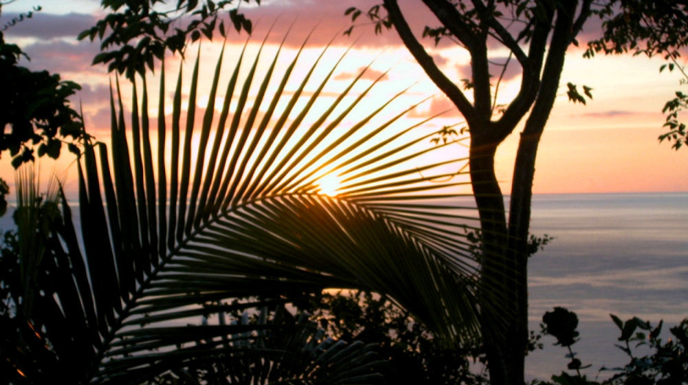 Nature'S Paradise Bed and Breakfast Bahía Marigot Exterior foto
