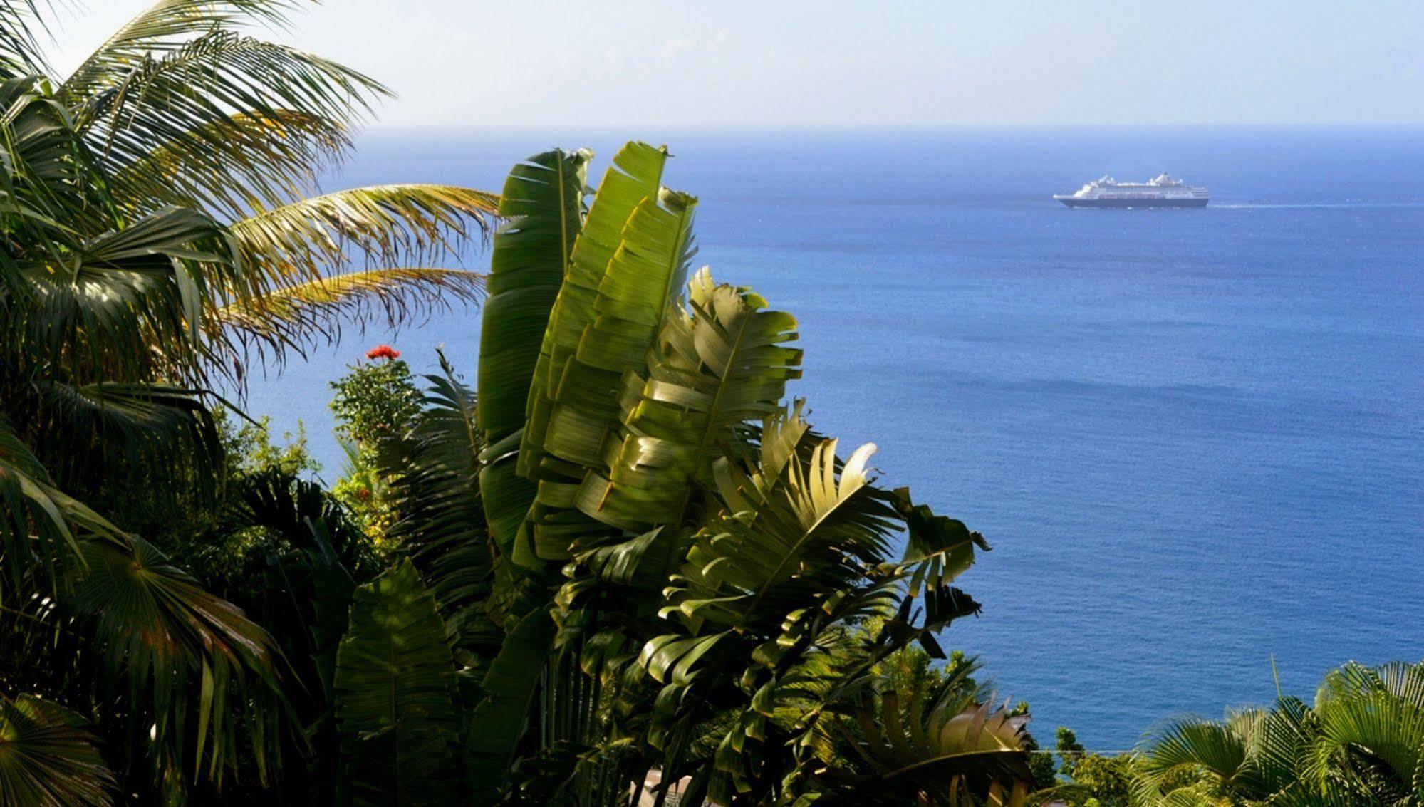 Nature'S Paradise Bed and Breakfast Bahía Marigot Exterior foto
