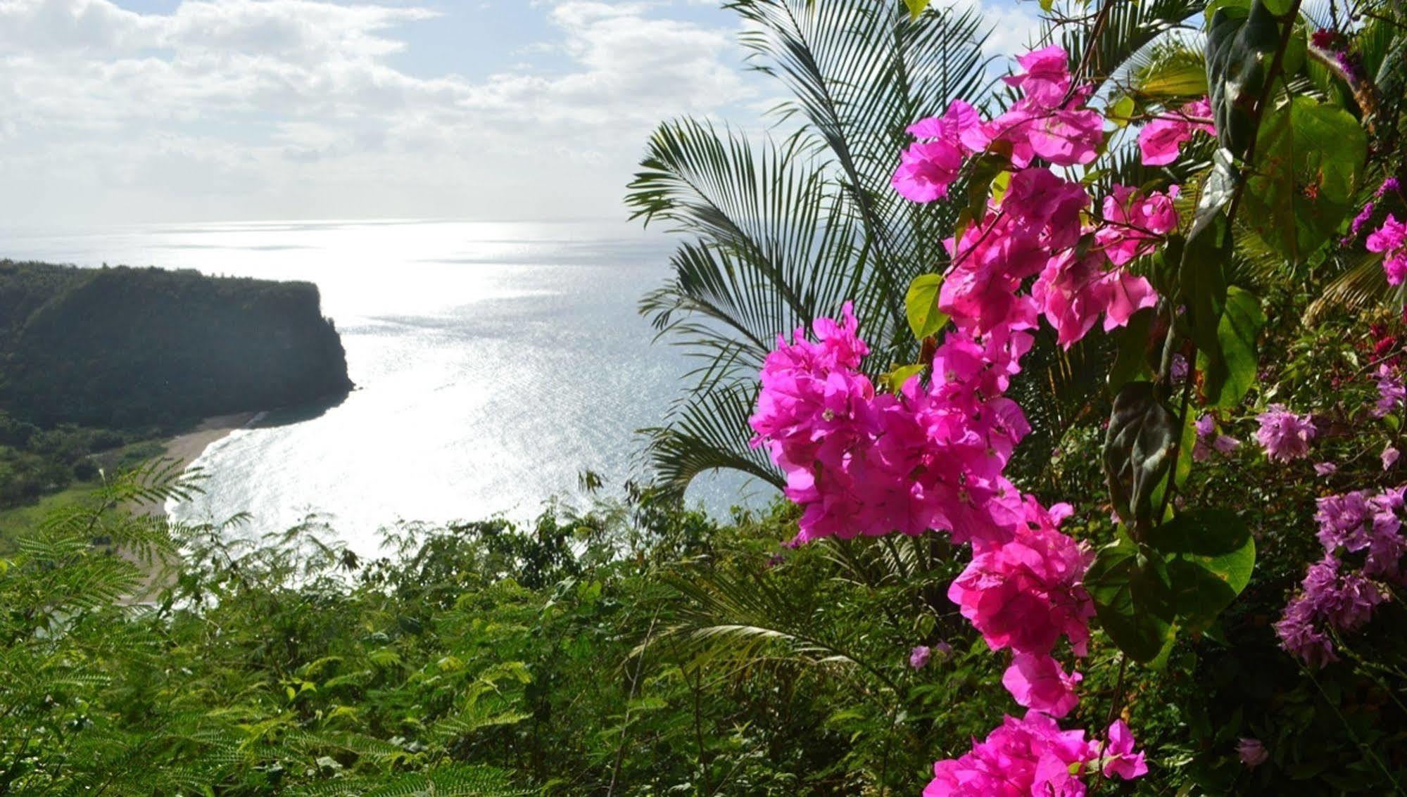 Nature'S Paradise Bed and Breakfast Bahía Marigot Exterior foto