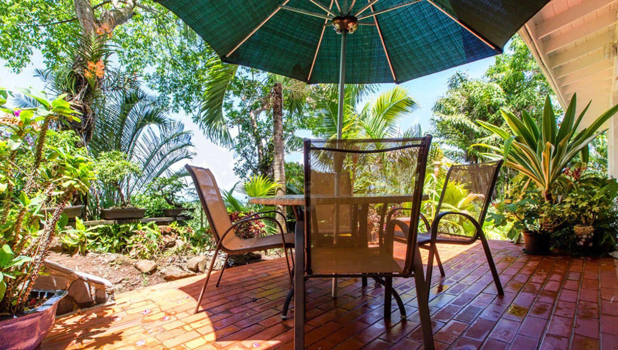 Nature'S Paradise Bed and Breakfast Bahía Marigot Exterior foto